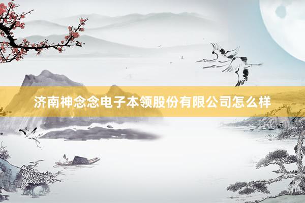 济南神念念电子本领股份有限公司怎么样